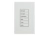 Room Controller / DLVP Zone Wallstation