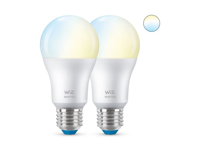 main.alt.text.RTP.Lampe A60 E27 x2