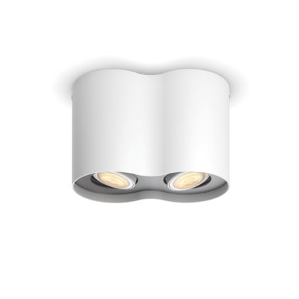 An image of product of the Hue White Ambiance Spot double Pillar