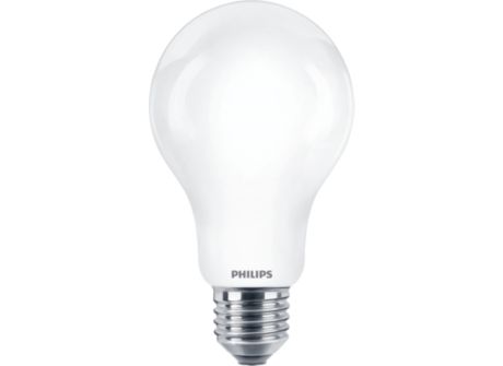 CorePro LEDBulbND 120W E27 A67 865 FR G