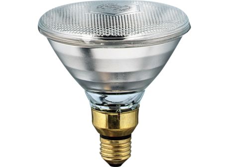 Par38 115-125V E26 1CT/12