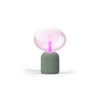Nahaufnahme der Vorderseite von Set: Lightguide Ellipse + 3D gedruckte Tischleuchte salbei