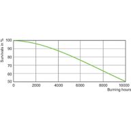 LDLE_MH_0009-Life expectancy diagram