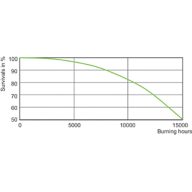 LDLE_MHN-LA_0001-Life expectancy diagram