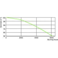 LDLE_MHN-SA_0003-Life expectancy diagram