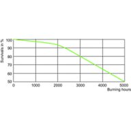LDLE_MHN-SA_0006-Life expectancy diagram