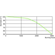LDLE_MHN-SE_0001-Life expectancy diagram
