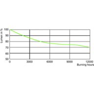 Lumen Maintenance Diagram - HPI-T 2000W/542 E40 380V 1SL/4