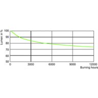 Lumen Maintenance Diagram - HPI-T 1000W/543 E40 1SL/4