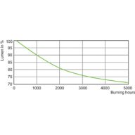 Lumen Maintenance Diagram - MASTER MHN-SA 1800W/956 (P)SFC 400V