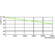 Lumen Maintenance Diagram - SON H 220W/220 E40 1SL/12