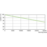 Lumen Maintenance Diagram - SON-T 1000W E40 1SL/4
