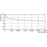 Lumen Maintenance Diagram - SON-T 70W E E27 1SL