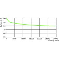 Lumen Maintenance Diagram - MST SON-T PIA Plus 70W/220 E27 1SL/12