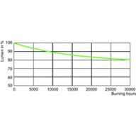 Lumen Maintenance Diagram - SON 100W E E40 CO 1SL