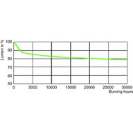 Lumen Maintenance Diagram - SON 70W E E27 CO 1CT/24