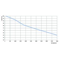 Lumen Maintenance Diagram - MASTER MHN-SA 1800W/956 230V XW UNP/1